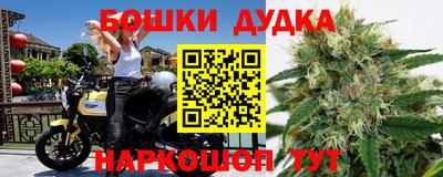 гидропоника Новозыбков