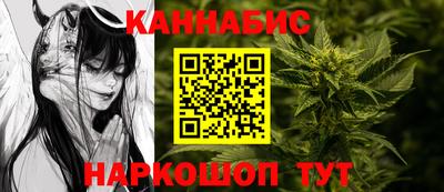 гидропоника Новозыбков